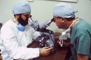 Two scientists looking through the same microscope.