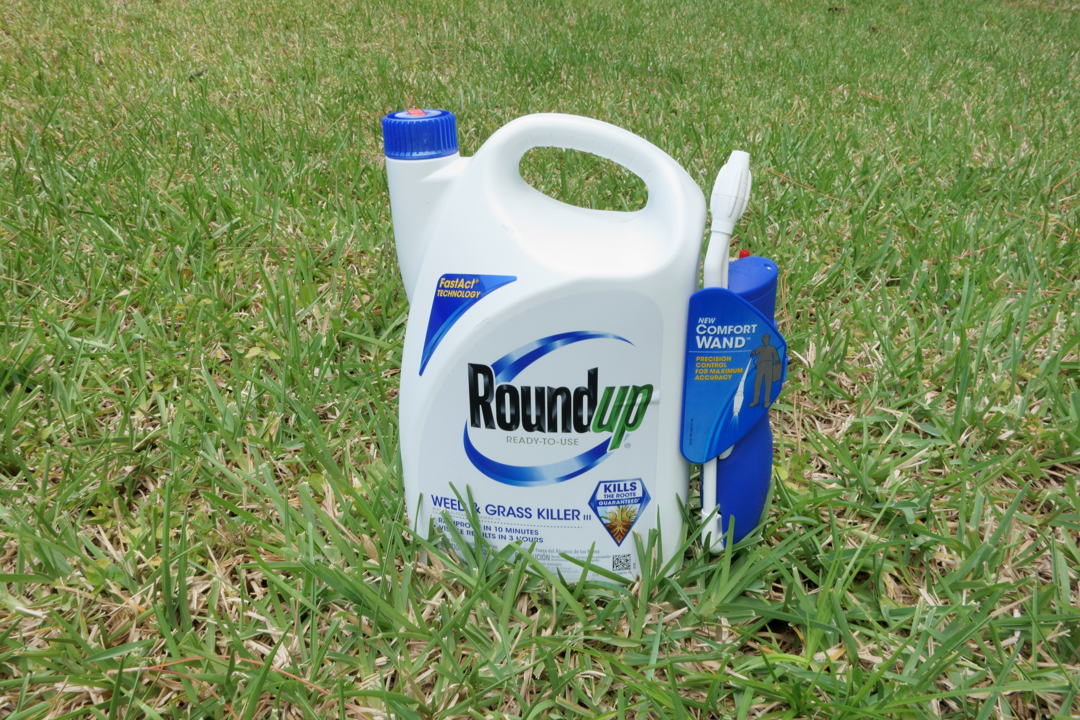 Roundup linked to cancer